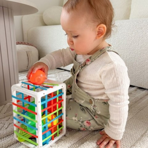 WOOPIE BABY Elastyczna Kostka Sensoryczna Sorter dla Dzieci Kolorowe Kształty 13 el. WOOPIE BABY Elastyczna Kostka Sensoryczna Sorter dla Dzieci Kolorowe Kształty 13 el.