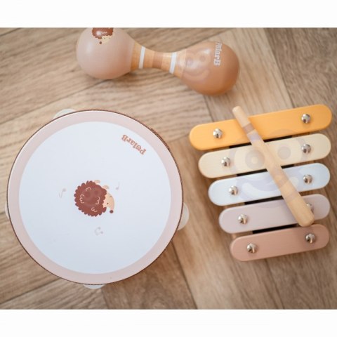 VIGA PolarB Zestaw Instrumentów Muzycznych Z Jeżykiem VIGA PolarB Zestaw Instrumentów Muzycznych Z Jeżykiem